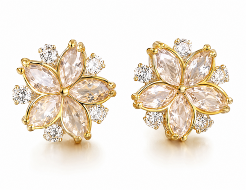 Elegant Hoop Earrings